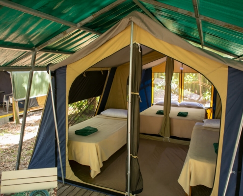 double room tent with 3 beds